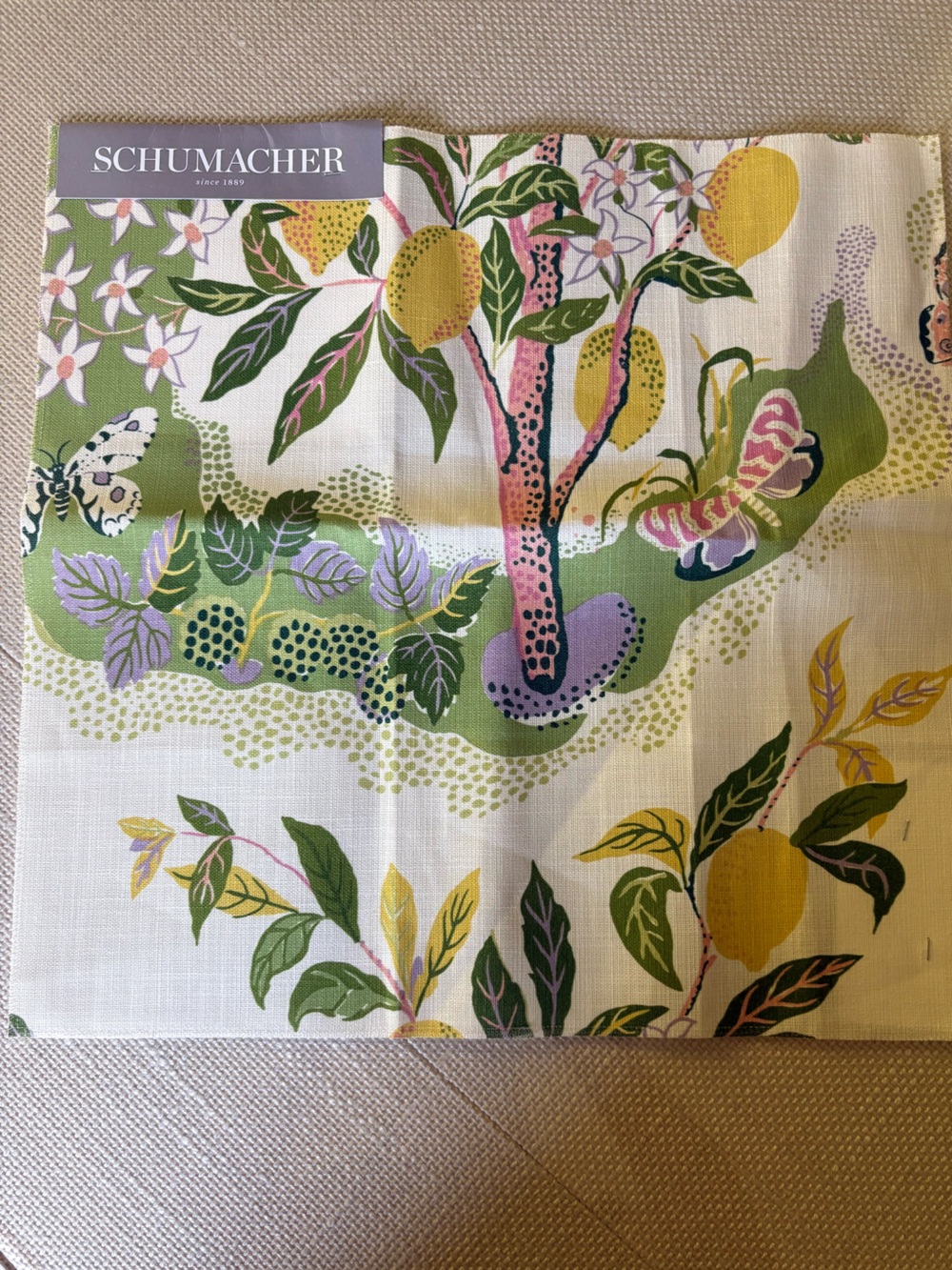 Schumacher citrus  Garden Printed Cotton-Linen fabric sample. NWT